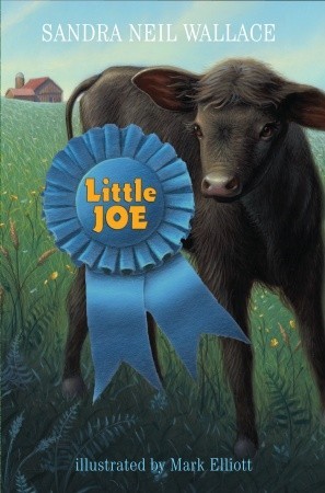Little Joe by Sandra Neil Wallace