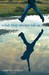What They Always Tell Us (Paperback)