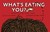 What's Eating You?: Parasites -- The Inside Story