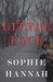Little Face (Spilling CID, #1)