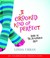 A Crooked Kind of Perfect (Audio CD)