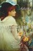 Sylvester (Paperback)