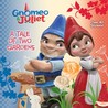 Gnomeo and Juliet Pictureback Book (Disney Gnomeo and Juliet) (Pictureback(R))