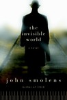 The Invisible World: A Novel