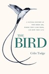 The Bird by Colin Tudge