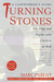 Turning Stones: My Days and Nights with Children at Risk A Caseworker's Story