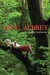 Love, Aubrey (Hardcover)