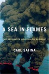 A Sea in Flames: The Deepwater Horizon Oil Blowout A Sea in Flames: The Deepwater Horizon Oil Blowout