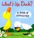 What's Up, Duck?: A Book of...