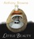 Little Beauty (Paperback)