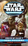 Jedi Eclipse (Agents of Chaos, #2) (Star Wars: The New Jedi Order, #5)