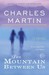 The Mountain Between Us (Paperback)