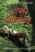 Love, Aubrey (Paperback)
