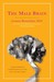 The Male Brain