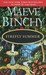 Firefly Summer (Paperback)