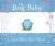 The Bog Baby (Hardcover)