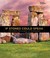 If Stones Could Speak: Unlocking the Secrets of Stonehenge (Hardcover)