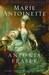 Marie Antoinette (Paperback)