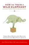 How to Train a Wild Elephant: And Other Adventures in Mindfulness How to Train a Wild Elephant: And Other Adventures in Mindfulness