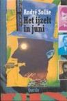 Het ijzelt in juni: Gedichten en collages Het ijzelt in juni: Gedichten en collages