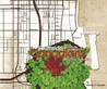 Southside Canadians: A Family Journey