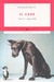 Il cane. Tutti i perché (Paperback)