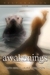 Awakenings (Restoration, Bo...