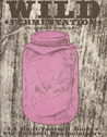 Wild Fermentation: A Do-It-Yourself Guide to Cultural Manipulation