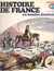 Histoire De France En Bandes Dessinées: No 17 - Napoléon (Histoire De France, #17)