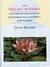The Feeling Buddha: A Buddhist Psychology of Character, Adversity and Passion