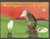 Borreguita and the Coyote: A Tale from Ayutla, Mexico (Hardcover)