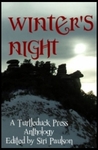 Winter's Night by Erin Zarro
