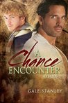 A Chance Encounter by Gale Stanley