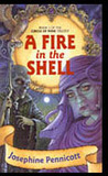 A Fire In The Shell