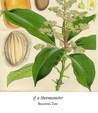 if a thermometer