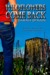 Wildflowers Come Back (Wildflowers Come Back, #1)