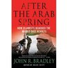 After the Arab Spring: How Islamists Hijacked The Middle East Revolts After the Arab Spring: How Islamists Hijacked The Middle East Revolts