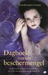 Dagboek van een beschermengel (Paperback)