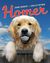 Homer