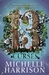 The Thirteen Curses (Thirteen Treasures, #2)