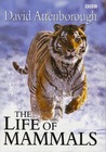 The Life of Mammals by David Attenborough The Life of Mammals by David Attenborough