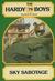 Sky Sabotage (Hardy Boys, #79)