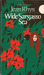 Wide Sargasso Sea