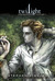 Twilight, Fascination volume 2 (Twilight graphic novel, #2)