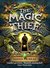 Stolen (Magic Thief, #1)