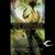 The Watcher  (Anna Strong Chronicles, #3)