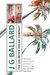 The Unlimited Dream Company (Paperback)