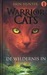 De wildernis in (Warrior Cats, #1) 