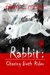 Rabbit: Chasing Beth Rider (ebook)
