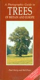 A photographic guide to trees of Britain and Europe A photographic guide to trees of Britain and Europe